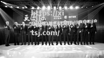 苏宁传国米已卖给美国体育投资公司预计交易总价约25亿欧元_