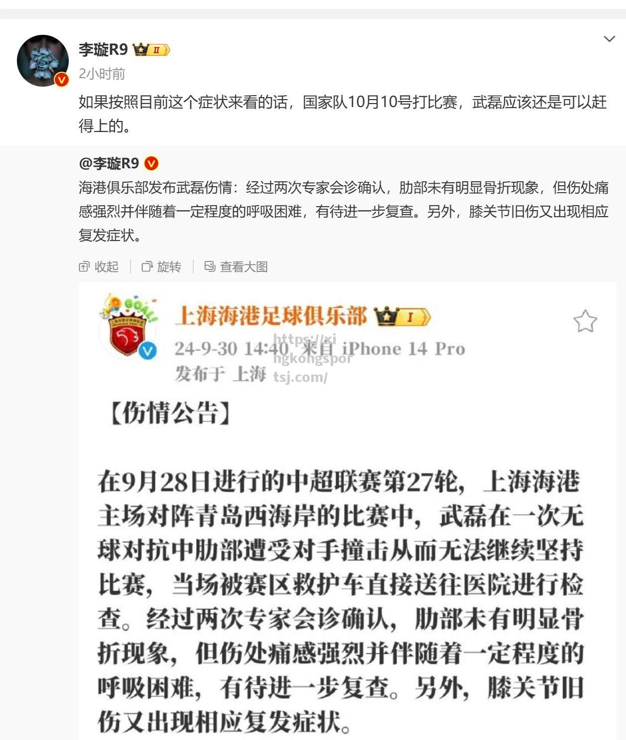 曼联中场高尔米斯受伤，无缘近期比赛